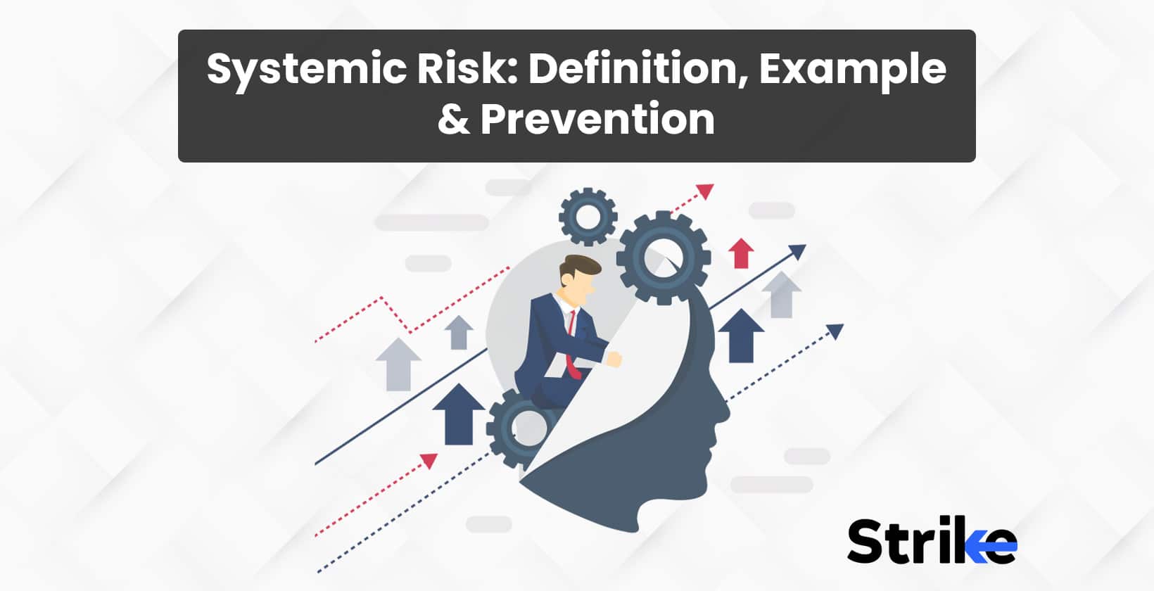 Systemic Risk: Definition, Causes, and Preventions