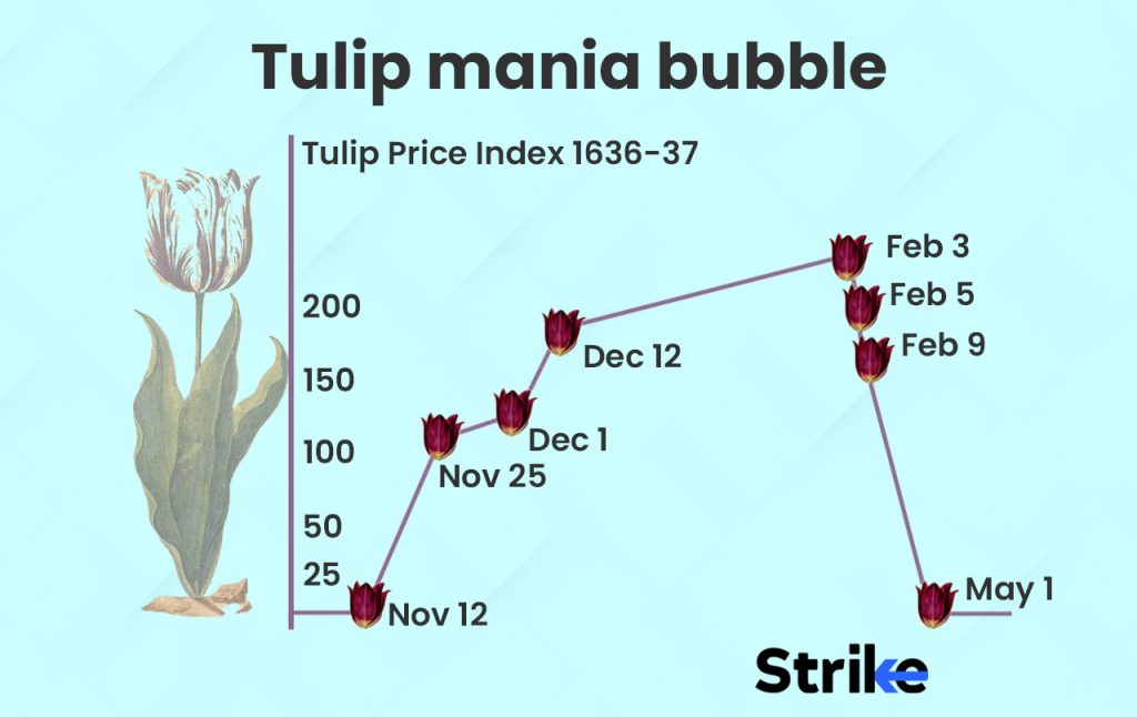 Tulip mania bubble