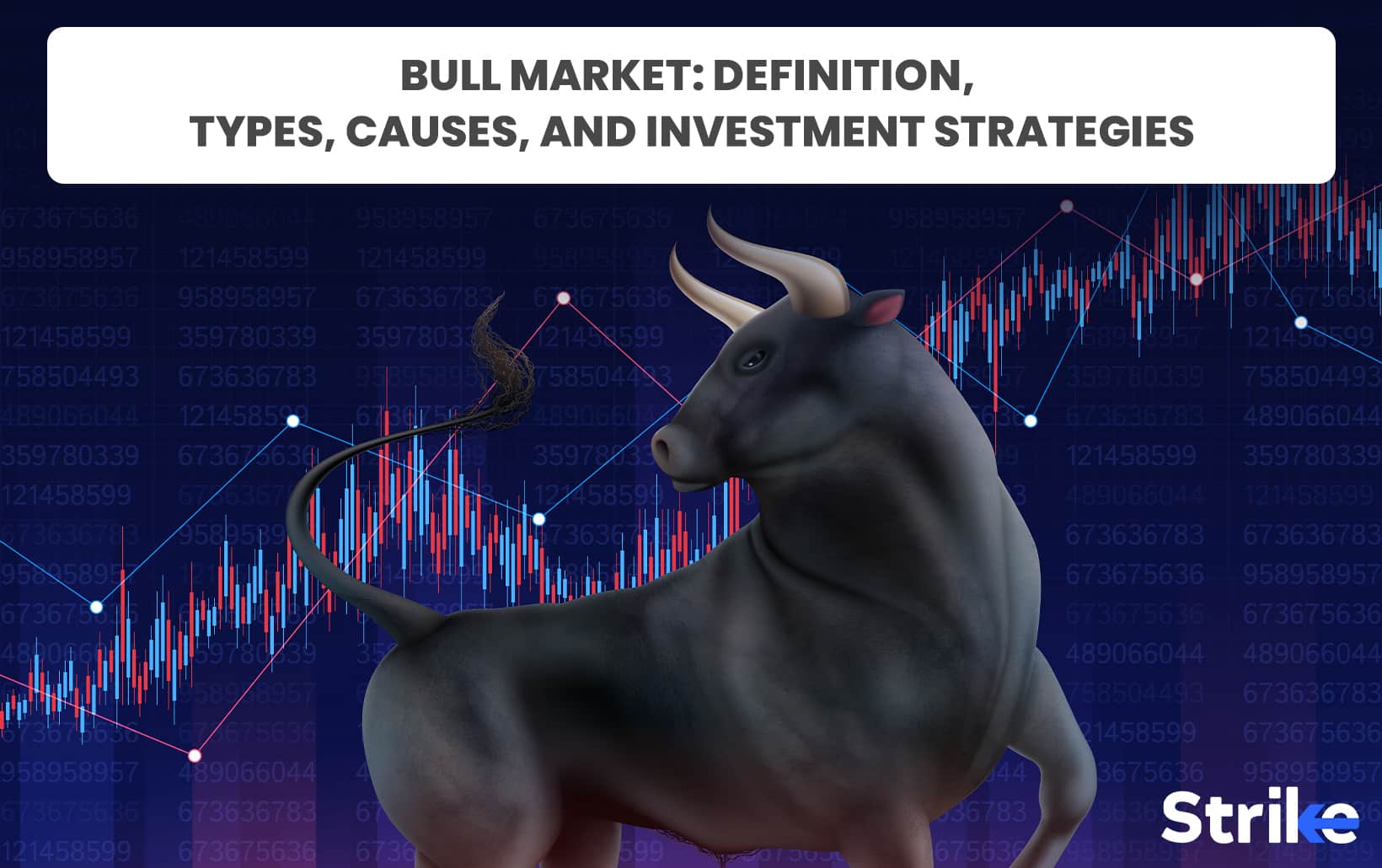 Bull Market Guide: The Different Phases & How To Invest During One