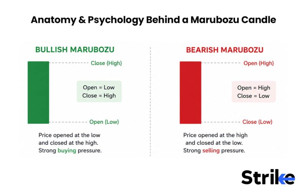 What is a Marubozu Candle? The 7 Structural Types, Real Strategies, and Our Backtest Results 48 Anatomy & Psychology Behind a Marubozu Candle