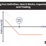 Long Put: Definition, How It Works, Importance, and Trading