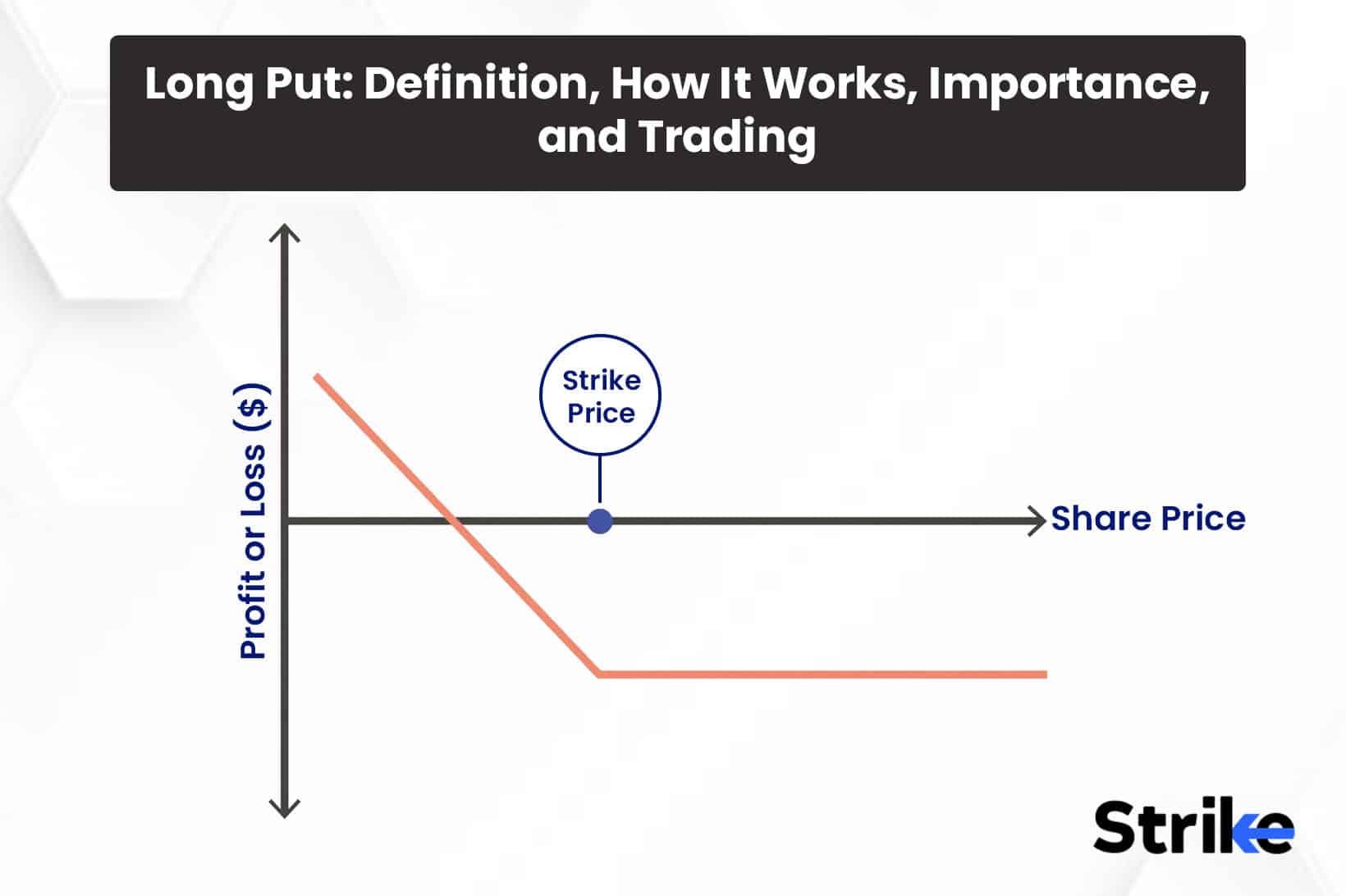 Long Tail: Definition as a Business Strategy and How It Works