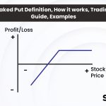 What is Naked Put? Definition, Trading Guide, Examples