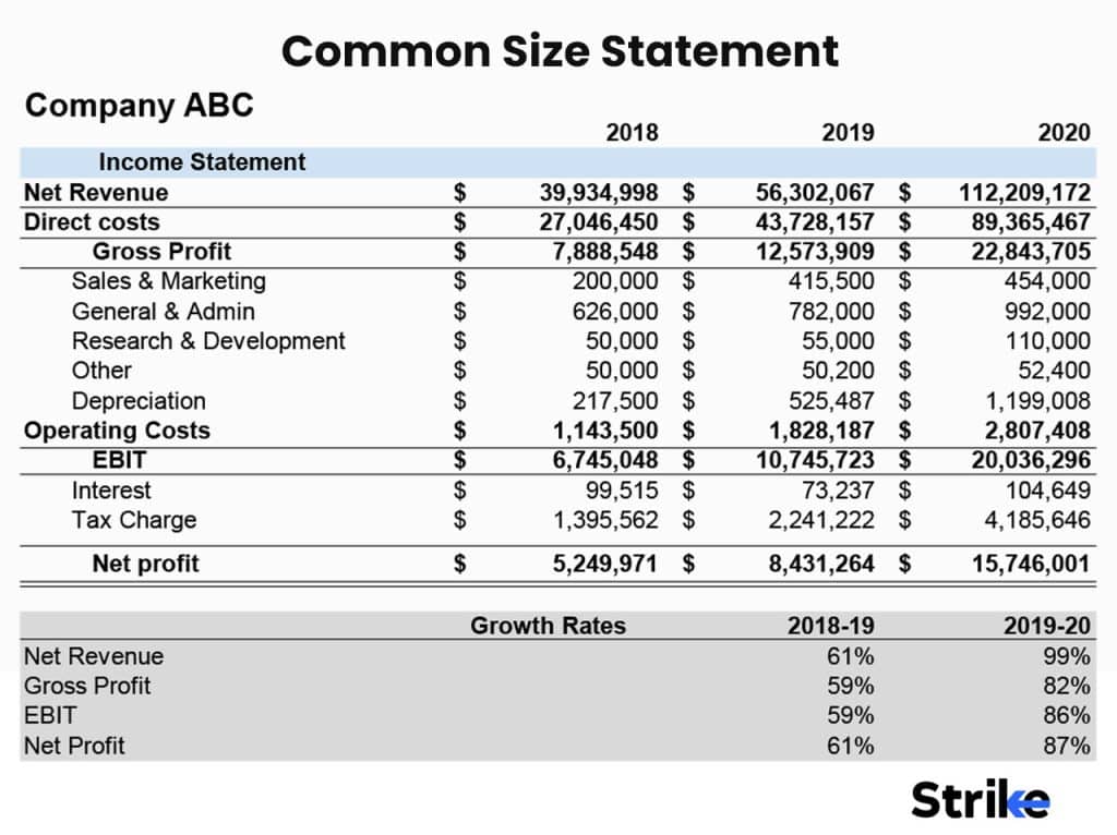 Common Size Statement