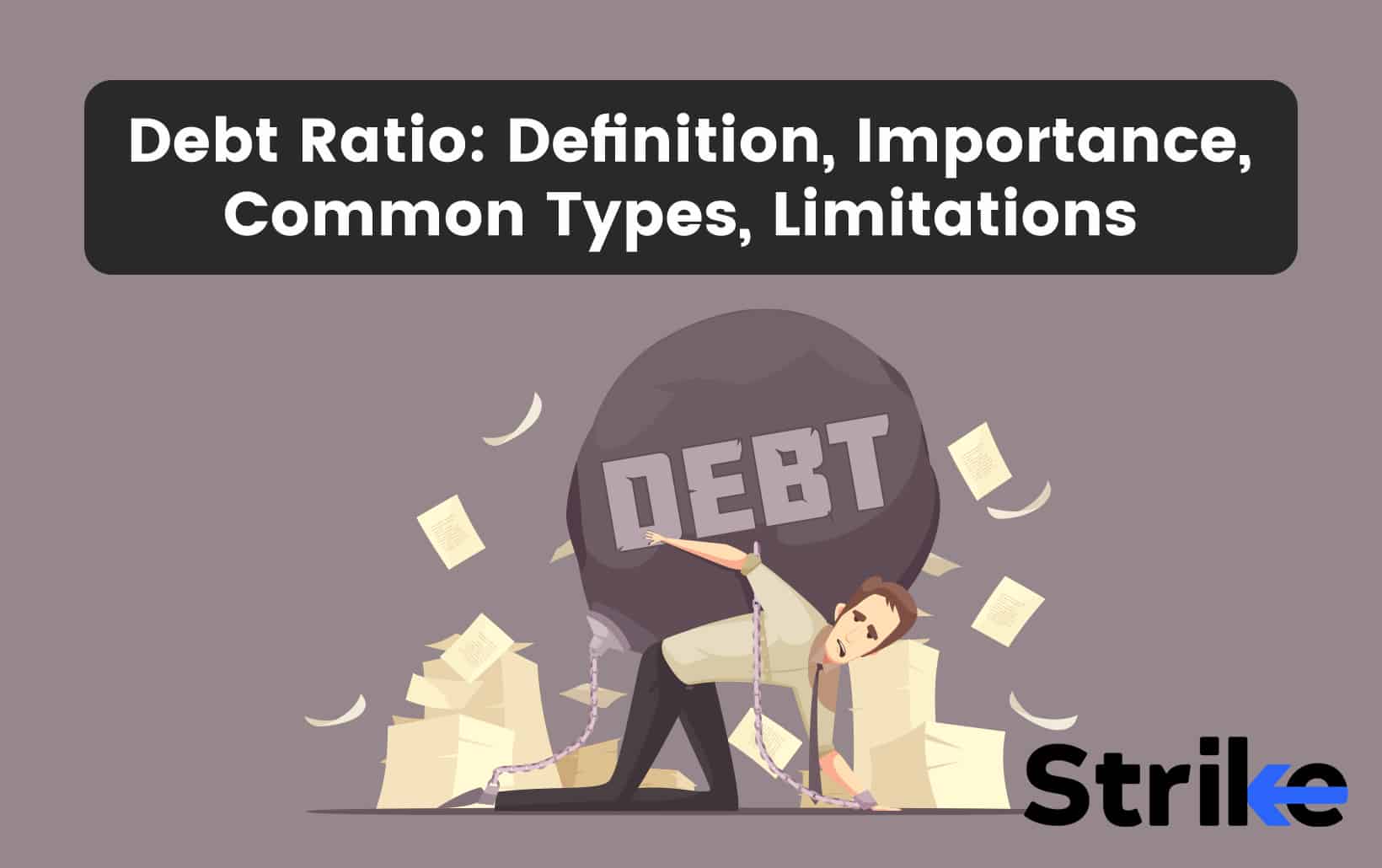 Debt Ratio: Definition, Importance, Common Types, Limitations