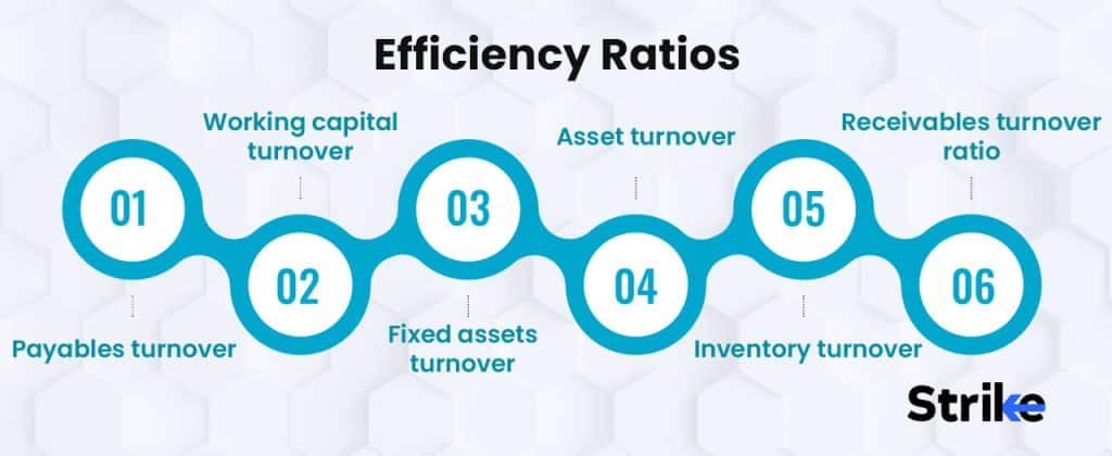 Efficiency Ratios