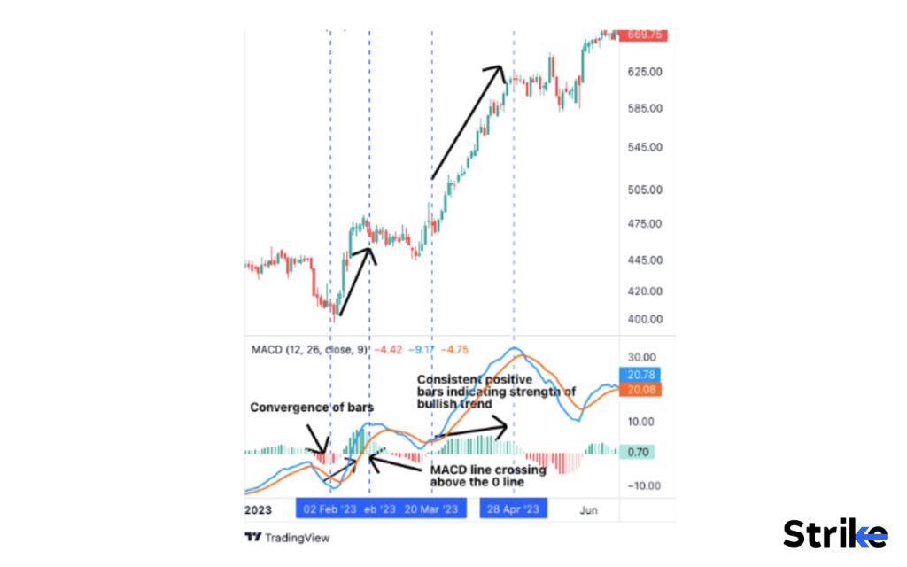 How does MACD perform in a Bullish Market