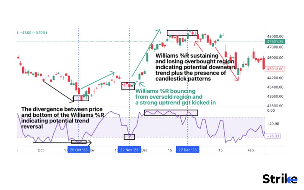 How important is the Williams %R Indicator in Technical Analysis