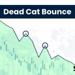 Dead Cat Bounce: Definition, History, Identification, Examples, Causes