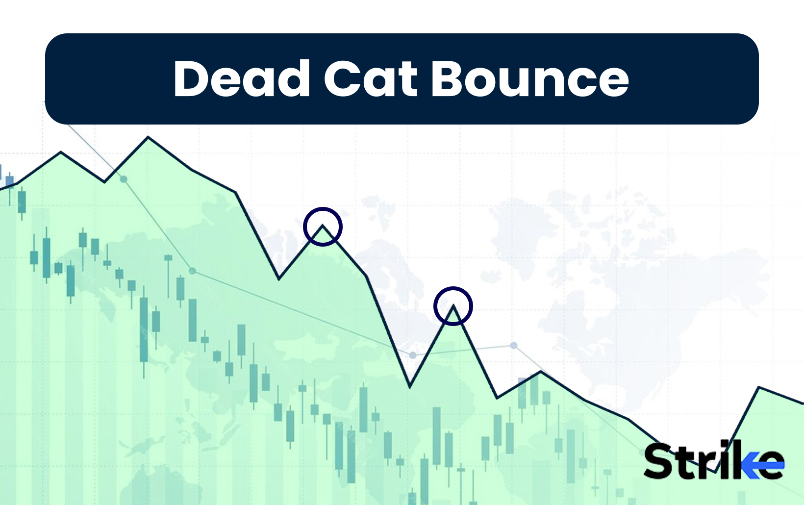 Dead Cat Bounce: Definition, History, Identification, Examples, Causes
