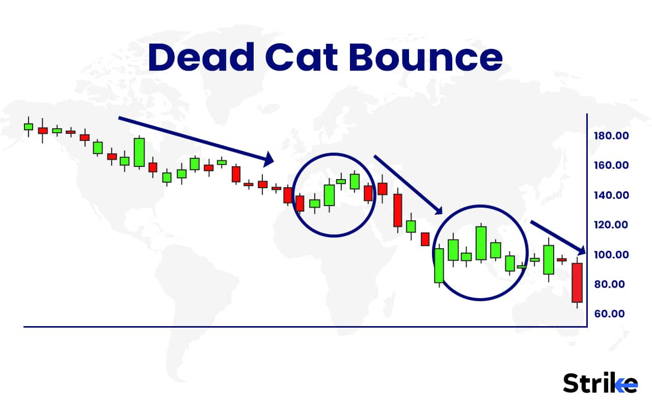 Dead Cat Bounce Definition, History, Identification, Examples, Causes Dead Cat Bounce Definition, History, Identification, Examples, Causes