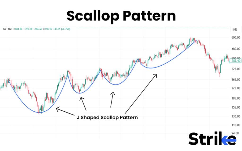 Scallop Pattern