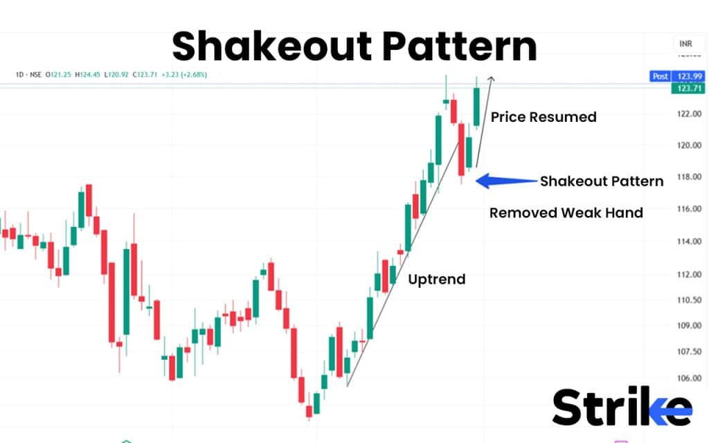 Shakeout Pattern