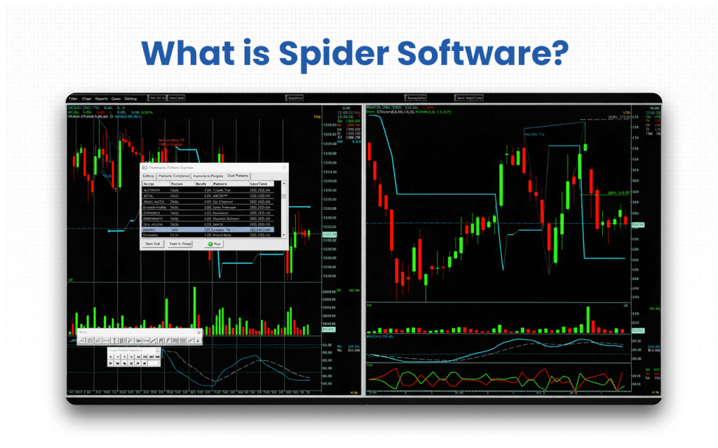 What is Spider Software
