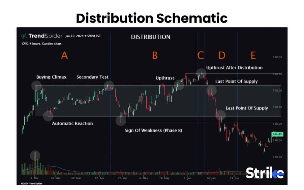 Distribution Schematic