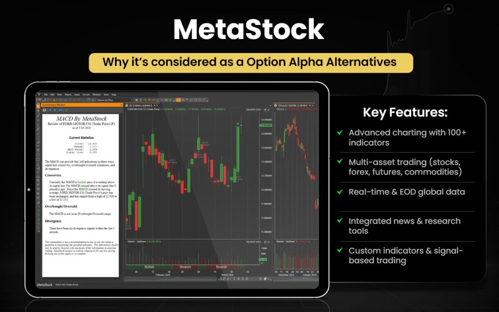 MetaStock
